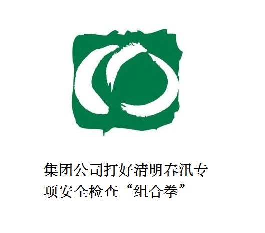 集團公司打好清明春汛專項安全檢查“組合拳”