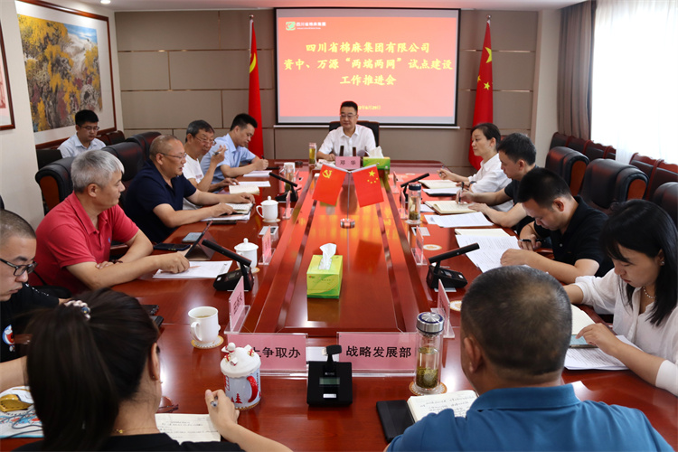 鄧華主持召開資中、萬源“兩端兩網”試點建設工作推進會