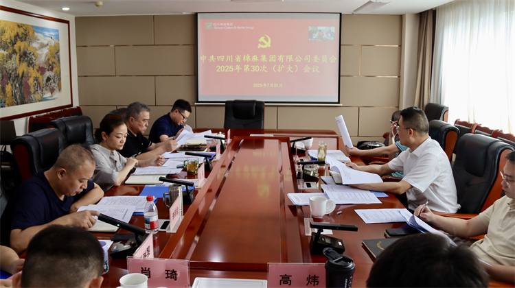 集團公司召開2025年第30次黨委（擴大）會議